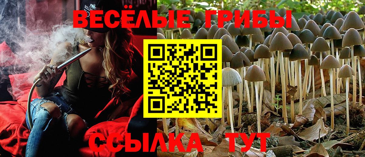 Когалым  Псилоцибиновые грибы Cubensis  Вход с VPN 