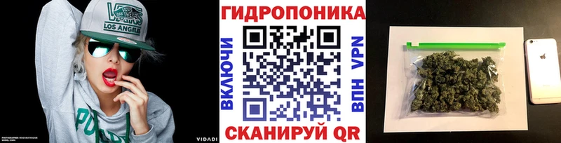 ОМГ ОМГ вход Когалым Бошки Шишки THC 21%